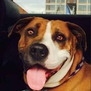 Meet your Posher, Cathy